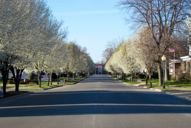 North view on Main street