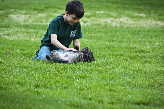 Boys and Puppies--biggest fans of Springtime